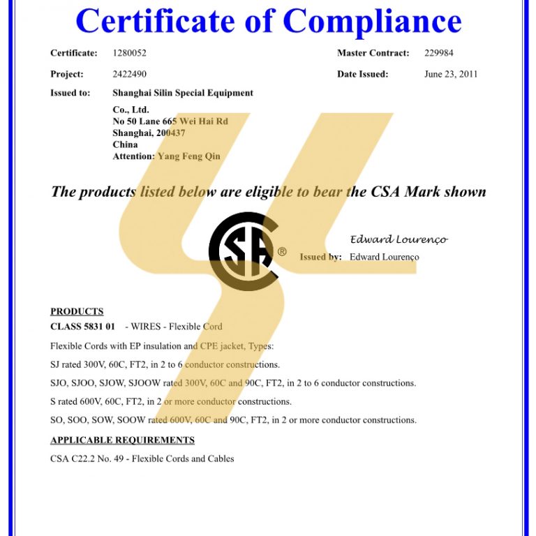 Silin Certificate CSA