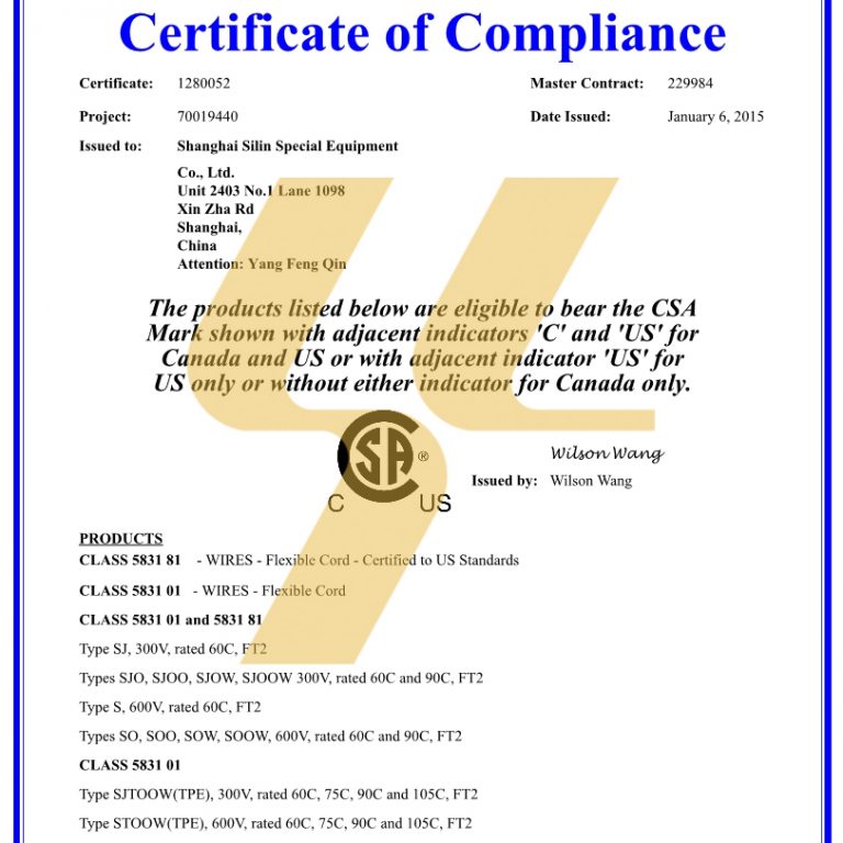 Silin Certificate CSA