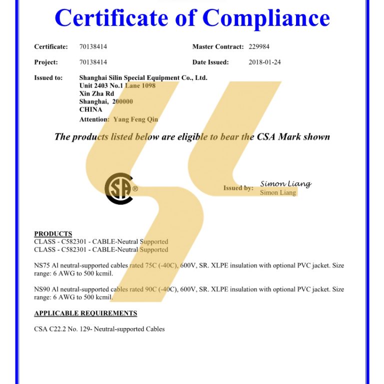 Silin Certificate CSA